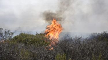 Las llamas comenzaron ayer por la tarde pero el viento sirvió para extenderlas. Foto: Juan Thomes 