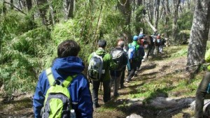 Hay que registrarse para salir a la montaña en los parques Lanín y Nahuel Huapi