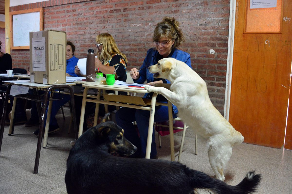 Los perros también tuvieron su participación. Foto: Marcelo Ochoa.