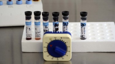 La batalla que se ganó contra el hantavirus, a un año del brote de Epuyén