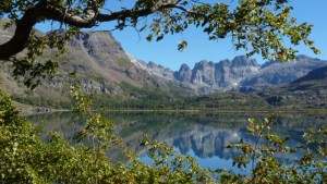 La comunidad universitaria  rechazó cambios en la ley de bosques