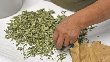 Avanza el Complejo Agroindustrial de Fernández Oro