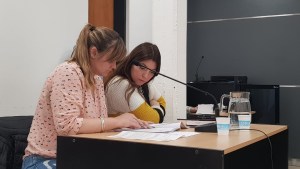 Cinco Saltos: por tirar piedras contra la casa de su ex quedó imputado y preso