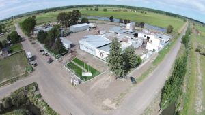 El matadero de Beltrán tendrá por metas exportar y saldar sus deudas