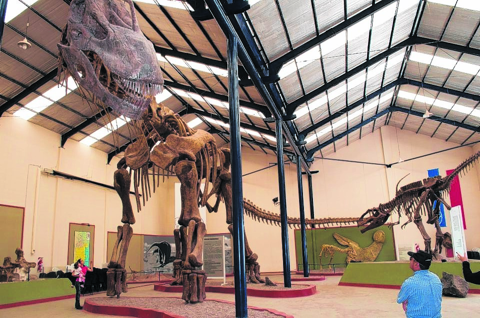 El Argentinosaurio es el fósil de uno de los herbívoros más grande del mundo y se exhibe en el Carmen Funes de Plaza Huincul. Foto: Archivo