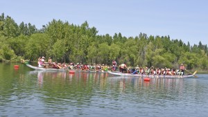 Terminó con éxito la primera edición del «Latinoamérica en Rosa»