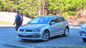 Las ratas se comen hasta los cables de los autos en el Paso Samoré