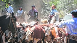 Los ganaderos neuquinos dicen que la carne podría aumentar aún más