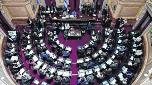 El Congreso: “rosca”, “poroteo” y pañuelos celestes en el Senado