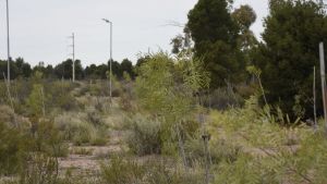 Lograron controlar un incendio de pastizales  en Parque Norte