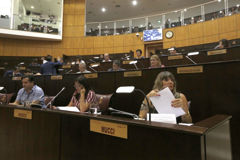 La Legislatura le dejó aprobado el presupuesto para el año próximo a Omar Gutiérrez. Foto Juan Thomes