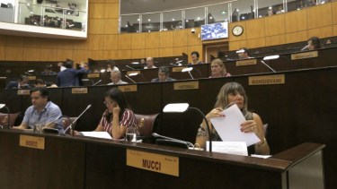 La Legislatura le dejó aprobado el presupuesto para el año próximo a Omar Gutiérrez. Foto Juan Thomes