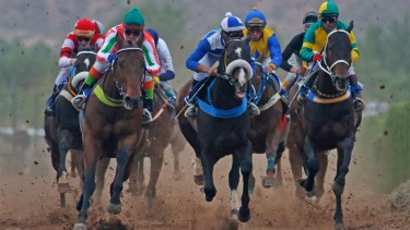 En un final muy parejo, Areco Run (azul y blanco) logró el triunfo por media cabeza. (Fotos: Juan Thomes)