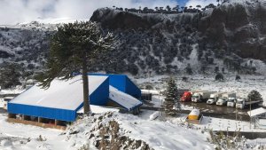 Qué dijo Gutiérrez por la habilitación de los corredores seguros de Neuquén