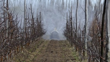 Coronavirus: chacareros quisieron ayudar, pero el modo no es aconsejable