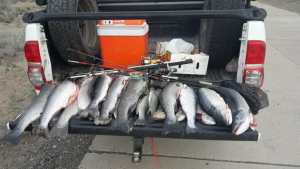 Advierten un incremento de la pesca furtiva en Neuquén