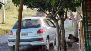 Advierten sobre la venta de rifas truchas para colaborar con el hospital de Cipolletti