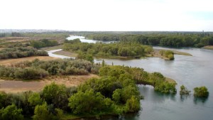 Cipolletti: difunden recomendaciones para disfrutar de los ríos de manera segura
