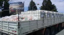 Imagen de Decomisaron en Neuquén más de 3 toneladas de carne que venía de La Pampa