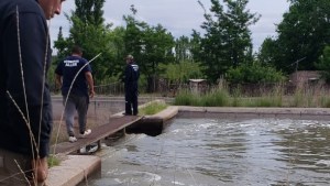 Continúa en Guerrico la  búsqueda de un hombre que cayó al canal grande en Allen