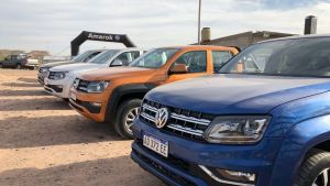 60 nuevos Expertos Amarok