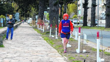 Las especies fueron plantadas con una serie de técnicas que permiten que las raíces vayan hacia abajo y no a los costados. Foto: Alfredo Leiva