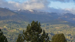 Comunidades mapuches rechazaron cambios en la ley de Bosques