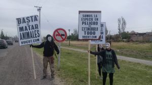 Día del veganismo: jóvenes de Fernández Oro difundieron mensajes en la ruta