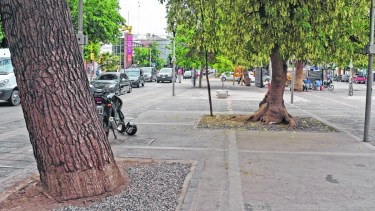 En los bulevares del microdentro, el relleno quedó a la mitad.