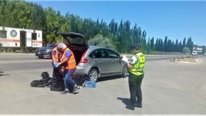 Secuestraron 170 kilos de carne vacuna ilegal en Cipolletti