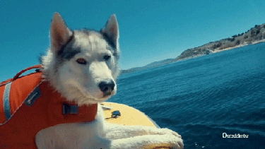 Algunos ya estrenaron su temporada al aire libre. - 