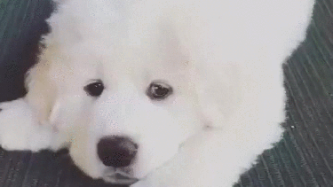 Ya es miércoles, a moverse! - 