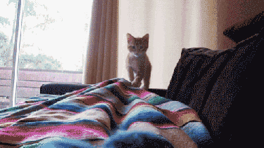 ¡Arriba arriba! Es hora de salir de la cama.-