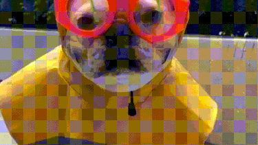 ¡Queremos esos lentes con limpiaparabrisas! -