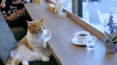 ¿Vamos a tomar algo calentito, bajo techo? -