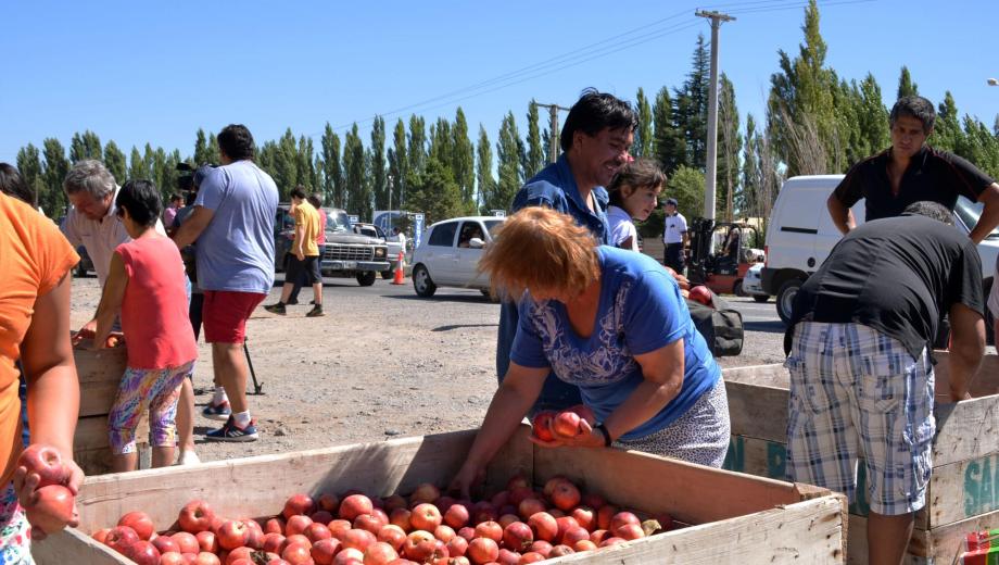 Chacareros regalarán manzanas en Cipolletti. (Foto archivo)