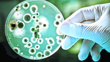 Antibióticos: ¡las bacterias  se resisten!