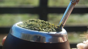 Ni el mate se salva de la paranoia por el coronavirus