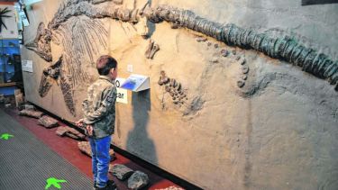 Los museos tienen su noche este sábado a partir de las 18, con acceso libre y gratuito. Archivo