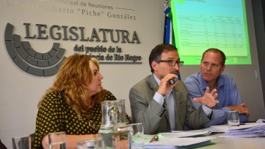 El ministro Domingo defendió el proyecto en la Legislatura. Foto: Marcelo Ochoa
