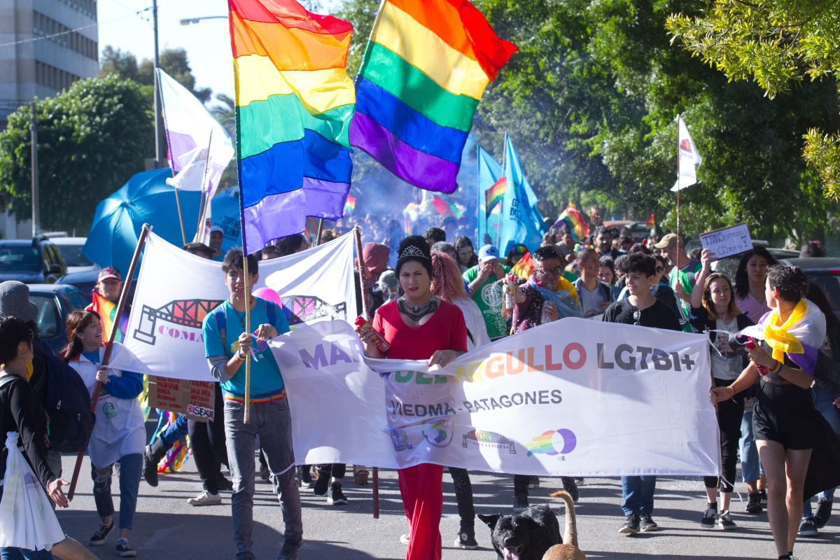 La Marcha del Orgullo LGTBI + en Viedma en 2019.

Foto Pablo Leguizamon