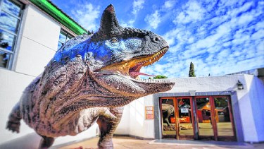 Una experiencia única a casi 100 kilómetros de la capital neuquina.