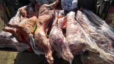 Por las fiestas se intensificaron los operativos. Foto: gentileza