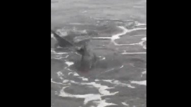 Captura del momento. Foto: gentileza La Nueva.-