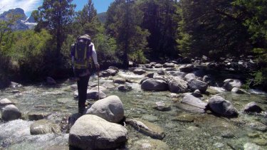 El parque nacional Nahuel Huapi busca voluntarios
