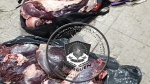 Los buscaban por robos, pero los detuvieron por llevar carne de ciervo