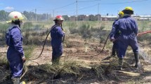 Imagen de Incendios y árboles caídos por el viento en Neuquén