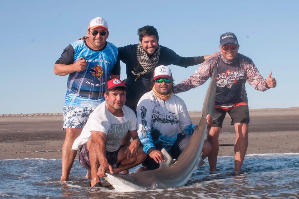  Durante los días 6 al 8 de diciembre se realizó el primero encuentro de pesca, marcado y devolución de la Provincia de Río Negro en las playas de Bahía Creek, villa balnearia ubicada a aproximadamente 100 km de Viedma.