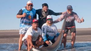 Proyecto Conservar Tiburones: mirá el ejemplar que marcaron y devolvieron al mar en Bahía Creek