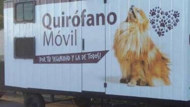 En 2022 hubo más de 8.000 castraciones en Roca